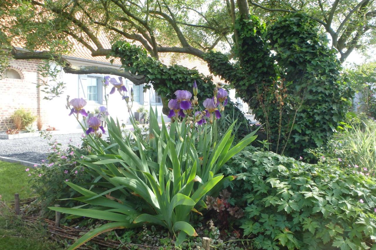 Hautvillers-Ouville Au Reve En Somme B&B 외부 사진